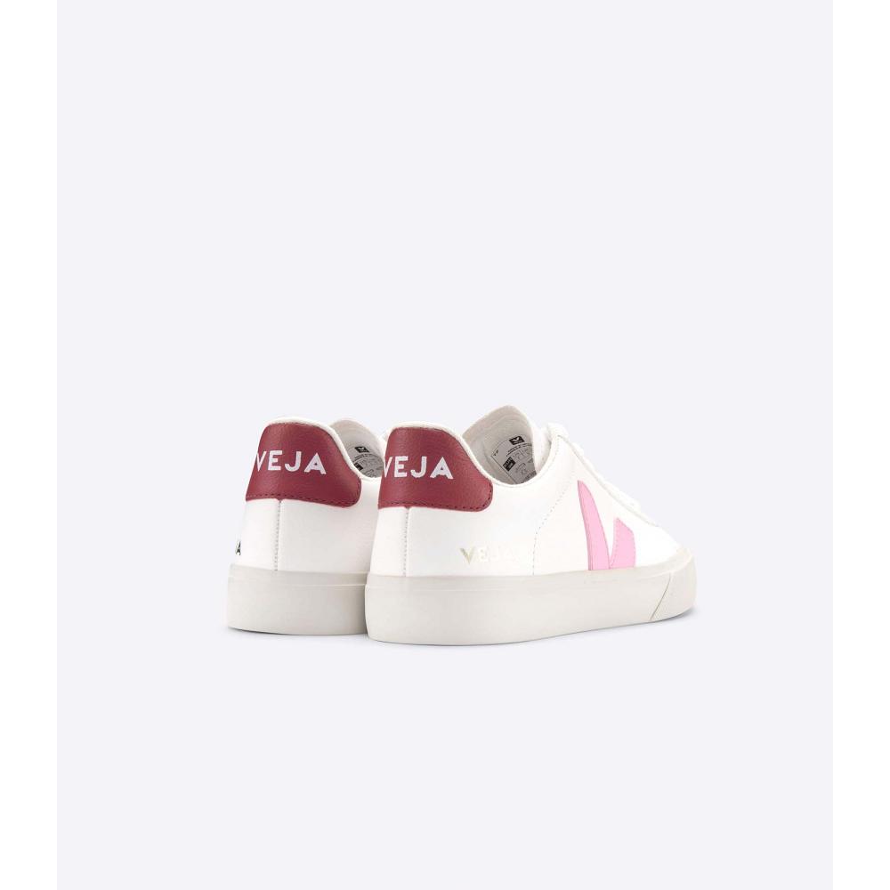 Men's Veja CAMPO CHROMEFREE Low Tops Sneakers White/Pink | ZA 193WNB